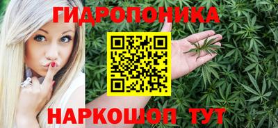 ешки Гусь-Хрустальный