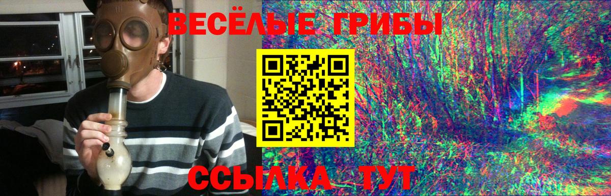 Галлюциногенные грибы Cubensis Дятьково